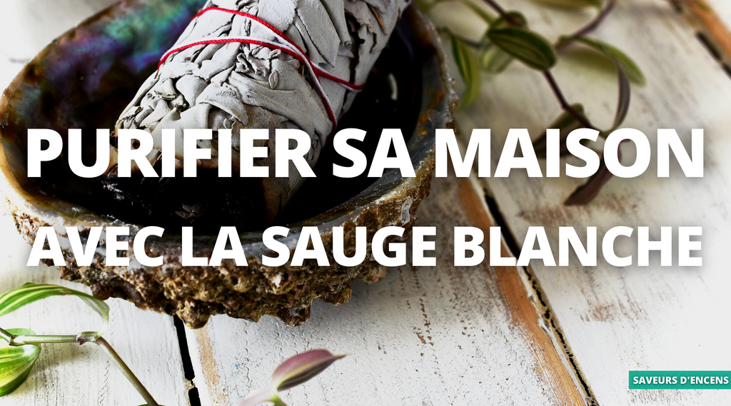 Comment purifier sa maison avec de la sauge ?