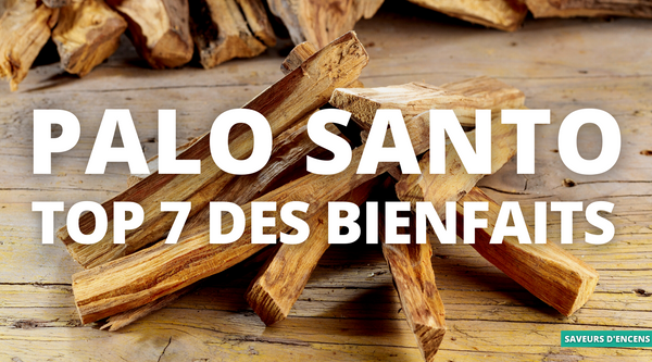 Bienfaits du Palo Santo et comment l'utiliser ?