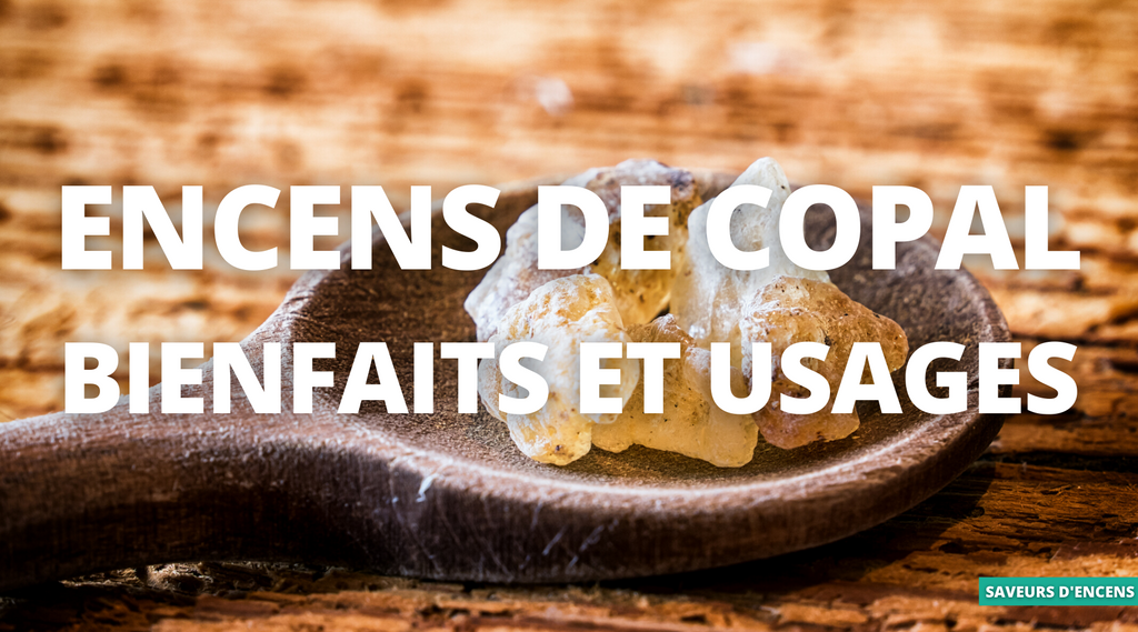 Avantages et utilisations de l'encens de copal